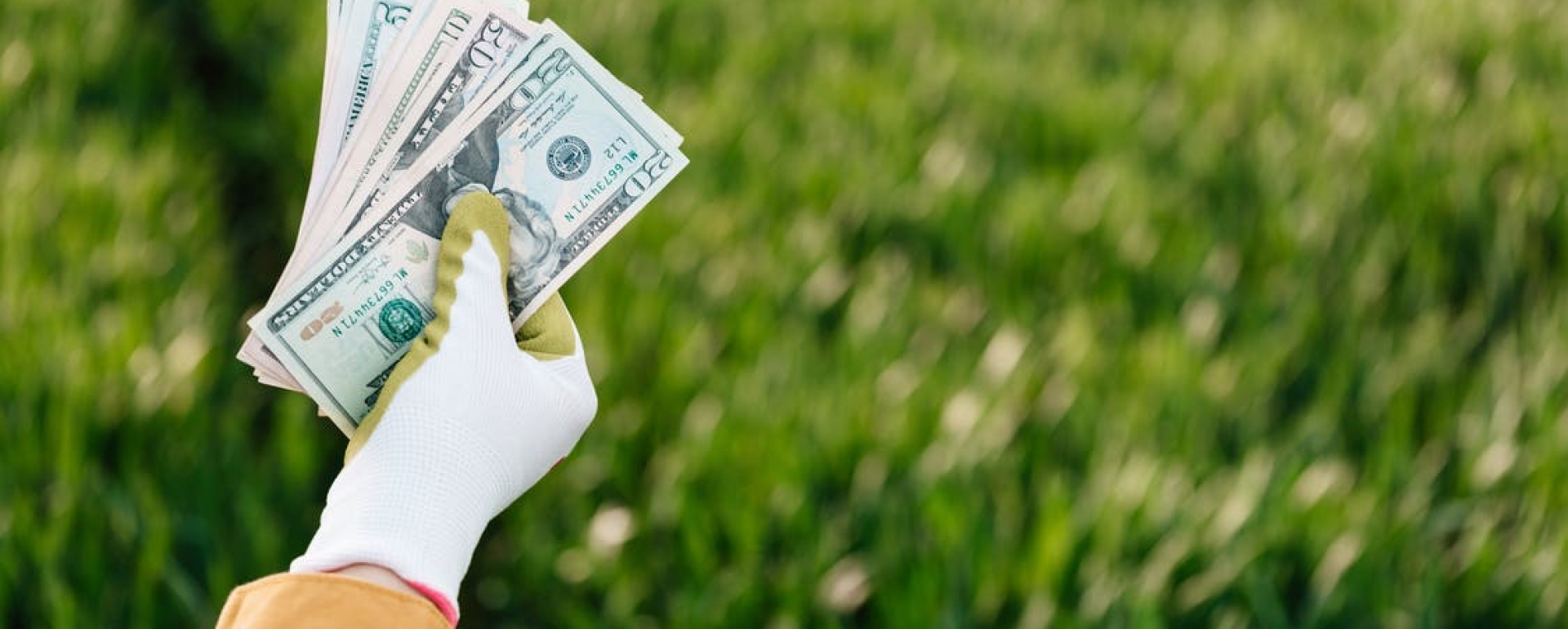 Where Does Purpose End and Profit Begin