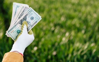 Where Does Purpose End and Profit Begin
